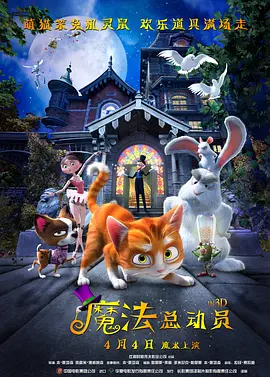 小明看看视频